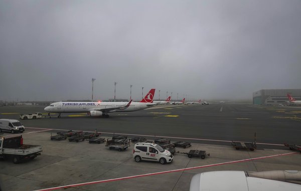 Quels sont les meilleurs endroits pour observer les baleines à bosse au large des côtes canadiennes ?