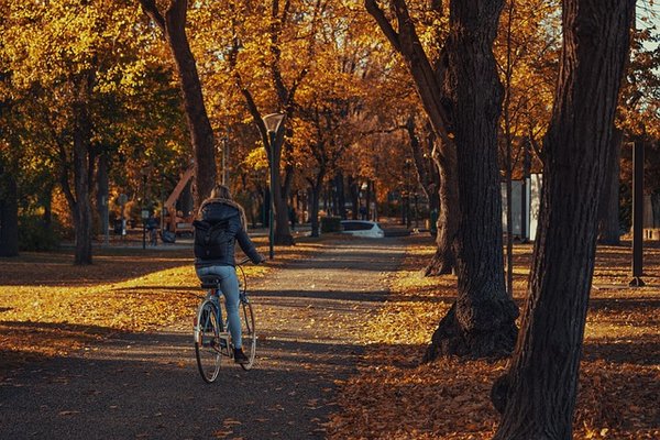 Explorer paris à vélo : les meilleures options de location